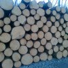 Výkup dřeva